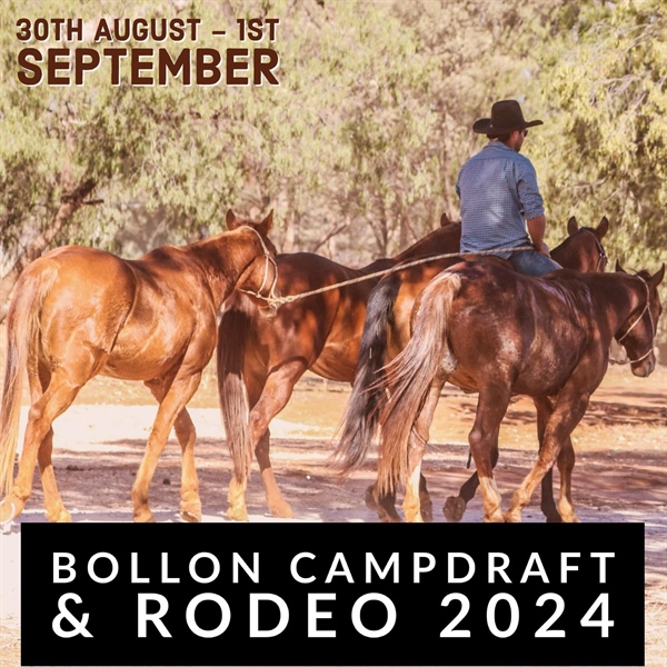 Bollon Campdraft Rodeo