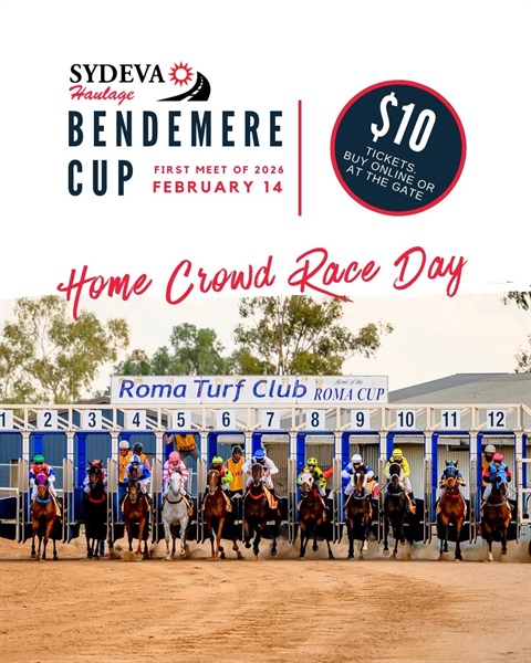 Roma Bendermere Cup Races