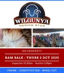 Dirran Wilgunya Ram Sale