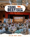 Roma Young Producers Forum