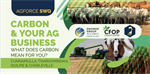 SW Carbon and Your Business