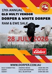 StG QLD Multi Vendor Dorper & White Dorper