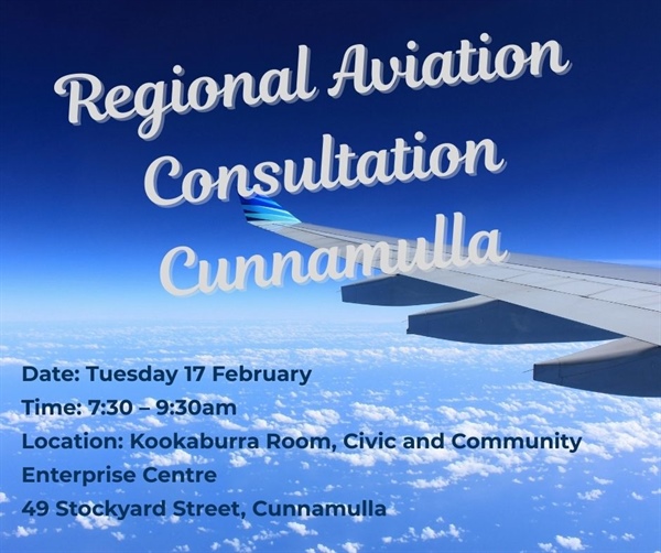 C'mulla Aviation Consult