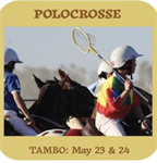 Tambo (M/H) Polocrosse