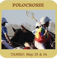 Tambo (M/H) Polocrosse
