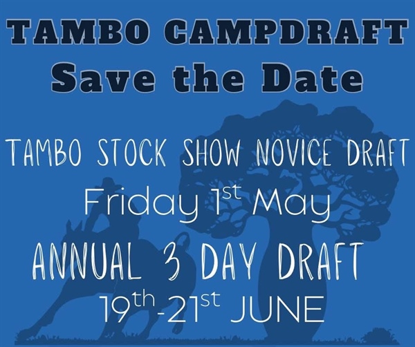 Tambo Novice Draft