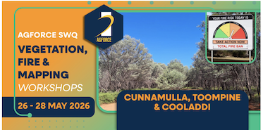 C'mulla, Toompine, Cooladdi Vegetation & Fire Mapping