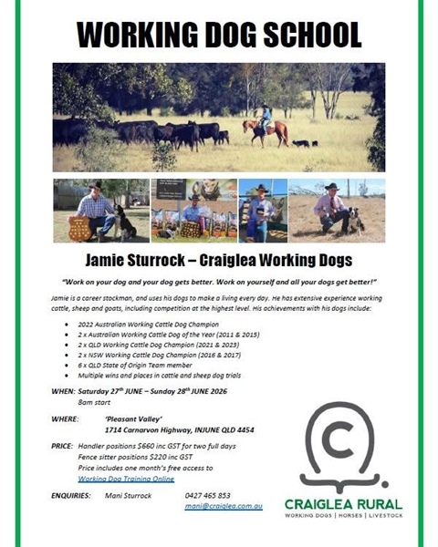 Injune Working Dog School