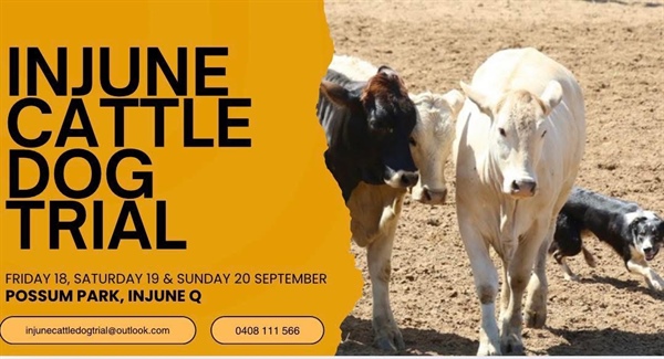Injune Cattle Dog Trail