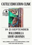 Wallumbilla Cattle Camp