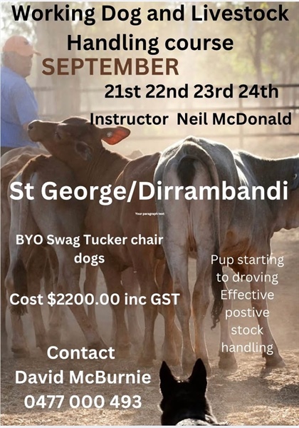Dirranbandi Dog School